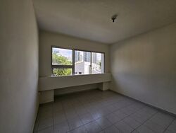 Dunearn Road (D11), Condominium #527355961